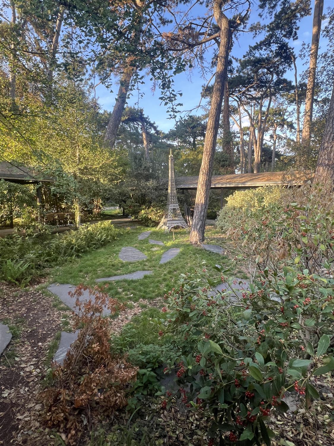 Le jardin des Magnolias au Parc Floral