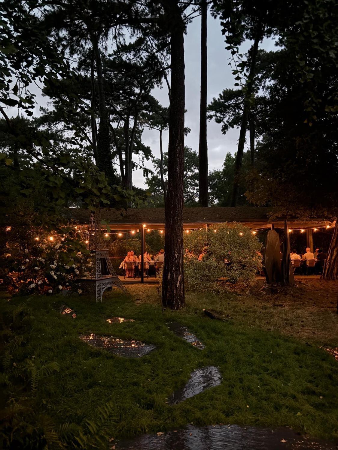 Guirlandes lumineuses en soiree